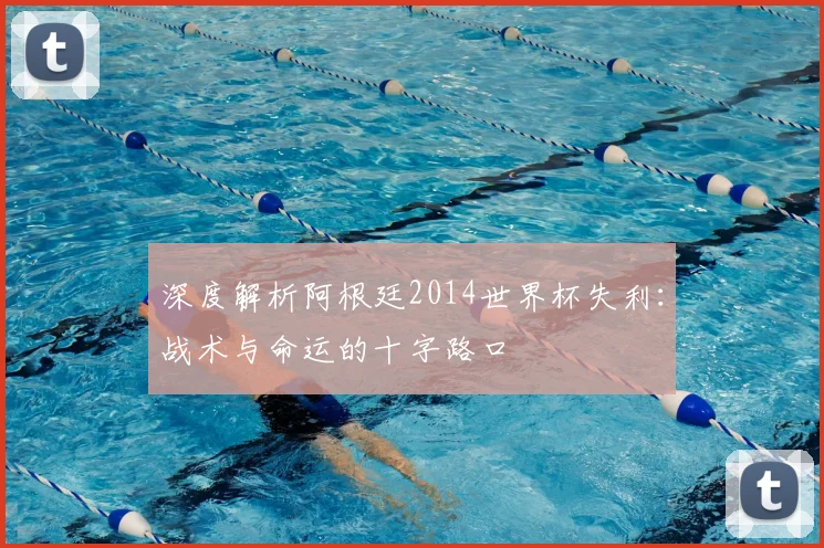 深度解析阿根廷2014世界杯失利:战术与命运的十字路口